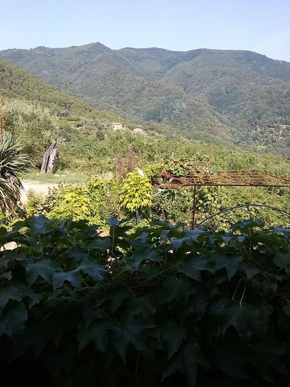مبيت وإفطار فوسدينوفو Casa Virgilio المظهر الخارجي الصورة